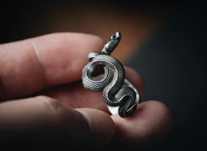 boutique-interieur-produits-plantes-motif-serpent