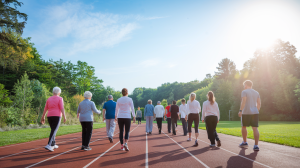 piste-marche-verdure-ciel-degage