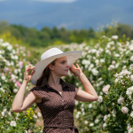 Tendances robes 2026 : les modèles incontournables