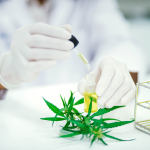Le 10-OH-HHC : comprendre ce cannabinoïde encore méconnu