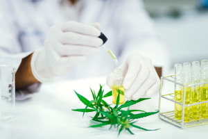 Le 10-OH-HHC : comprendre ce cannabinoïde encore méconnu